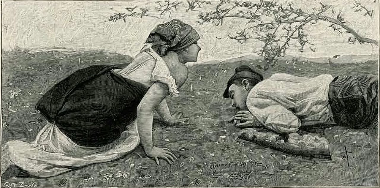 Verga - Vita dei campi, Treves, 1897 43